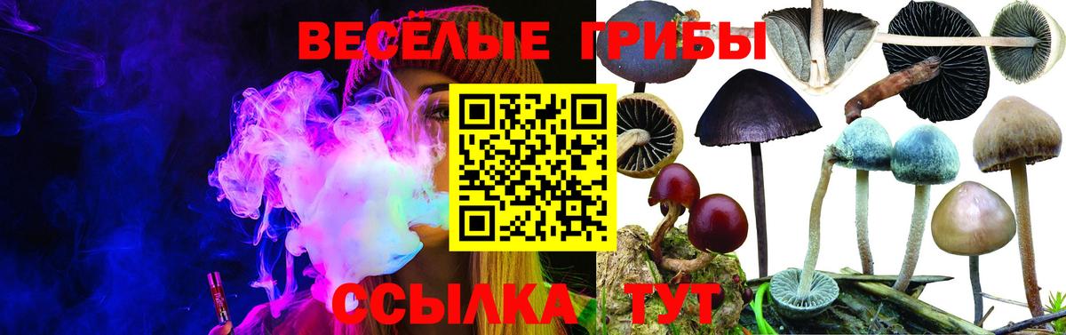Первоуральск  Псилоцибиновые грибы Magic Shrooms  наркота  Вход с VPN 