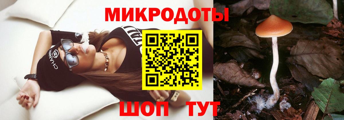 Галлюциногенные грибы Psilocybe Первоуральск